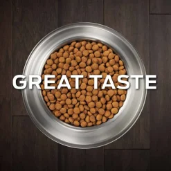 Online Purina Pro Plan Veterinary Diets NC NeuroCare Canine Formula Dry Dog Food