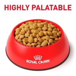 Outlet Royal Canin Veterinary Diet Feline Weight Control Dry Cat Food