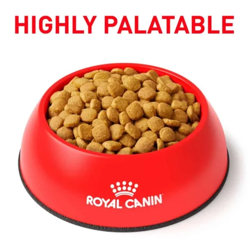Outlet Royal Canin Veterinary Diet Feline Weight Control Dry Cat Food