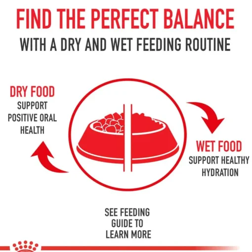 Outlet Royal Canin Veterinary Diet Feline Weight Control Dry Cat Food