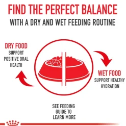 Best Royal Canin Veterinary Diet Canine Satiety Support Weight Management Small Breed Dry Dog Food