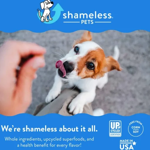 New Shameless Pets Peanut Butter Bliss Bone Broth Training Treats for Dogs